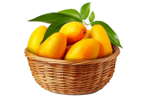 Mango