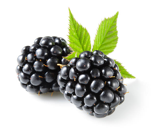 Blackberries