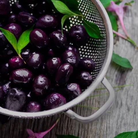 Jamun